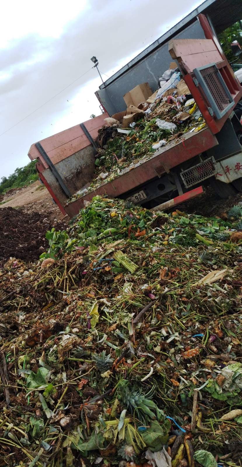 Lautoka Market Waste Composting Success Highlighted In Global Forum ...